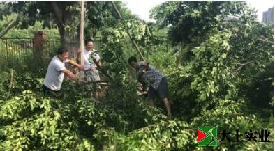 場(chǎng)地土石方開挖