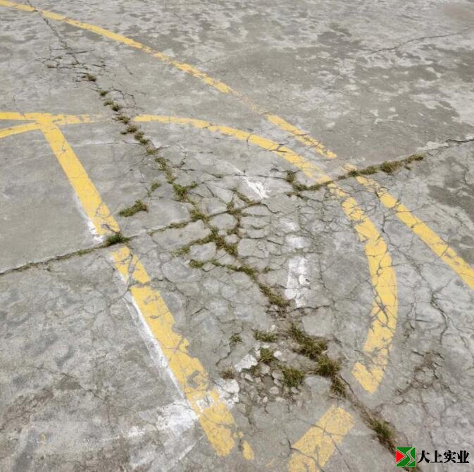 籃球場地面已開裂，并長出雜草。