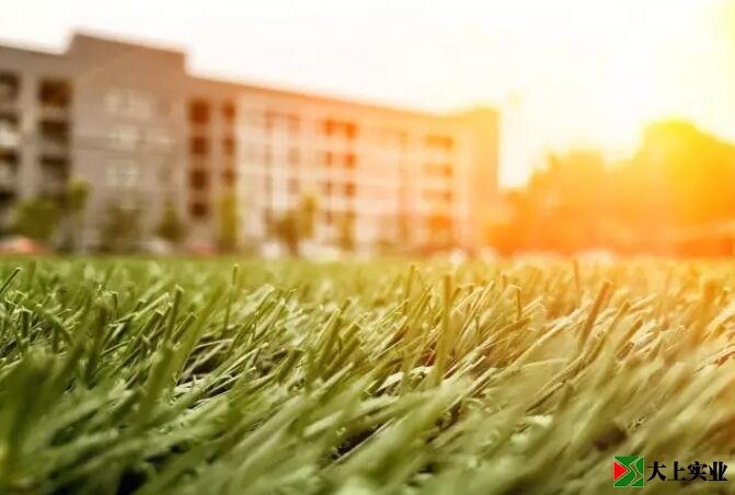 來(lái)個(gè)文藝范兒的足球場(chǎng)草坪圖片