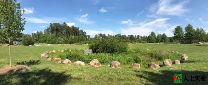 圖1 社區(qū)公園中有起伏的自然場地